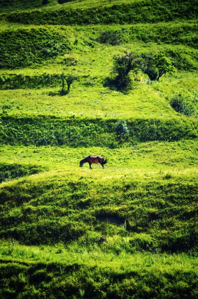 Photograph by Алена Самошина