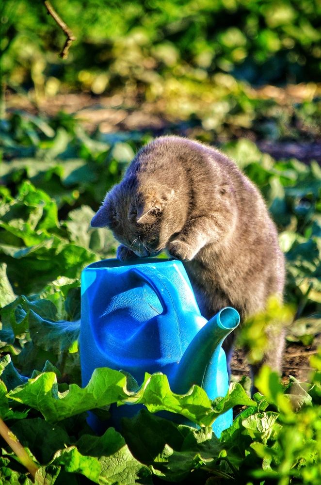 Photograph by Алена Самошина