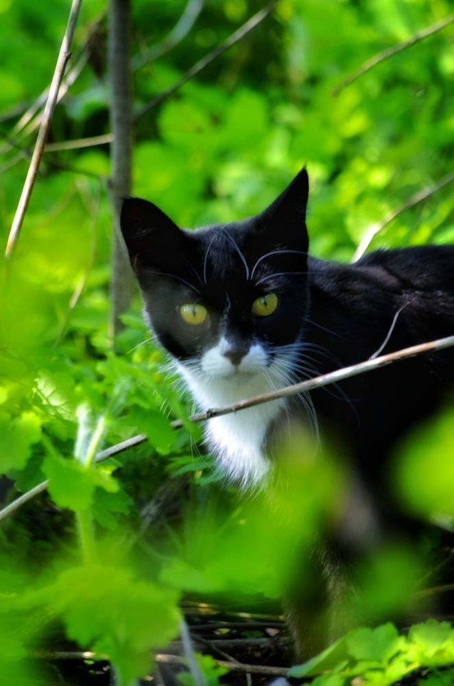 Photograph by Алена Самошина