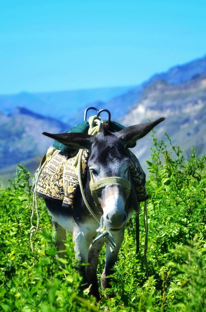 Photograph by Алена Самошина