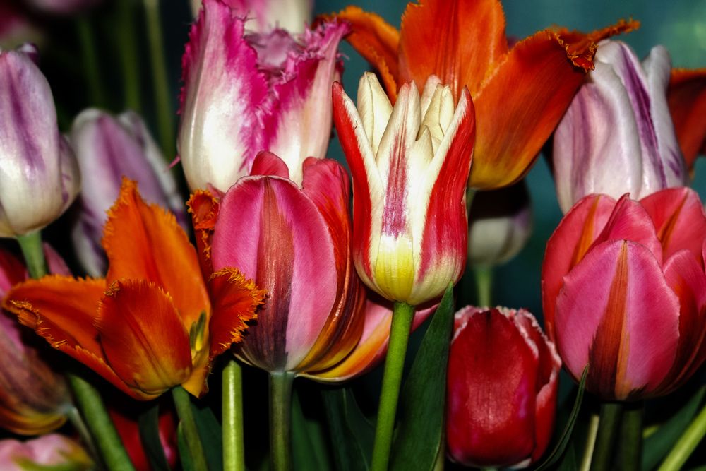 Photograph by Алёна Пшеленская