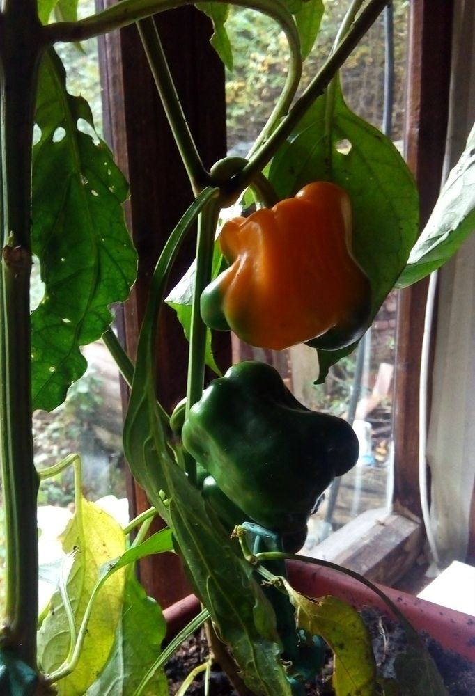 Photograph by Людмила Ковалева