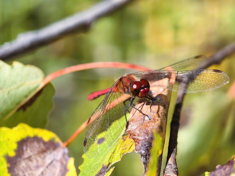 Photograph by Галина Бессуднова
