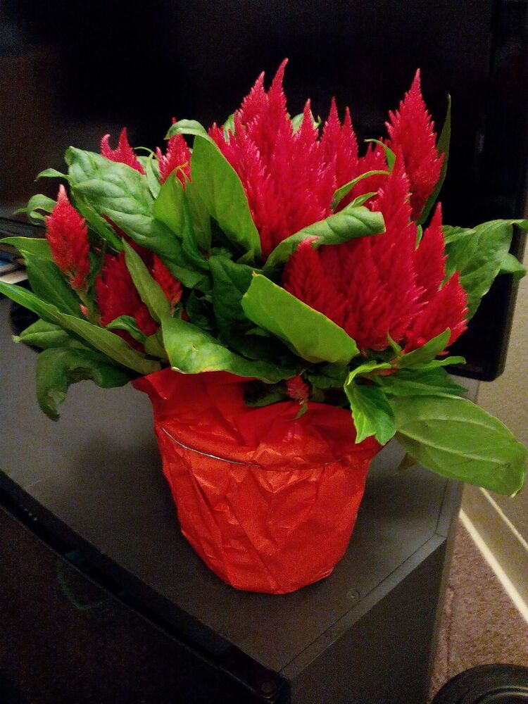 Photograph by Людмила Ковалева