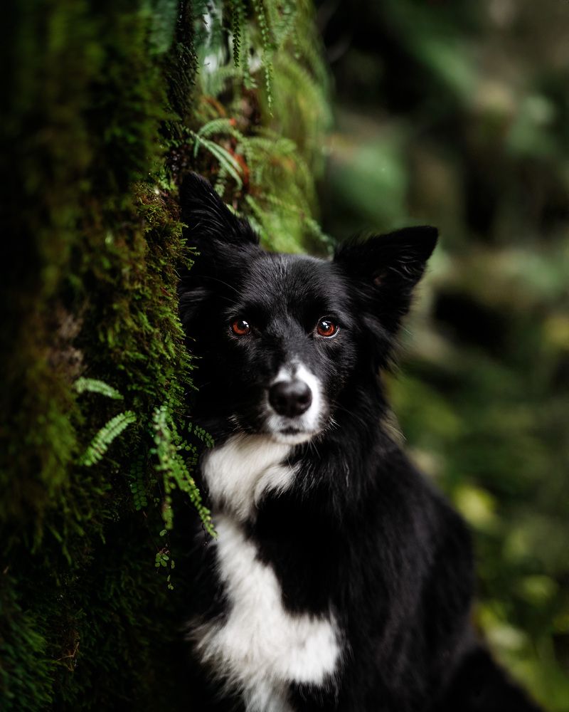 Photograph by Csenge Bálint