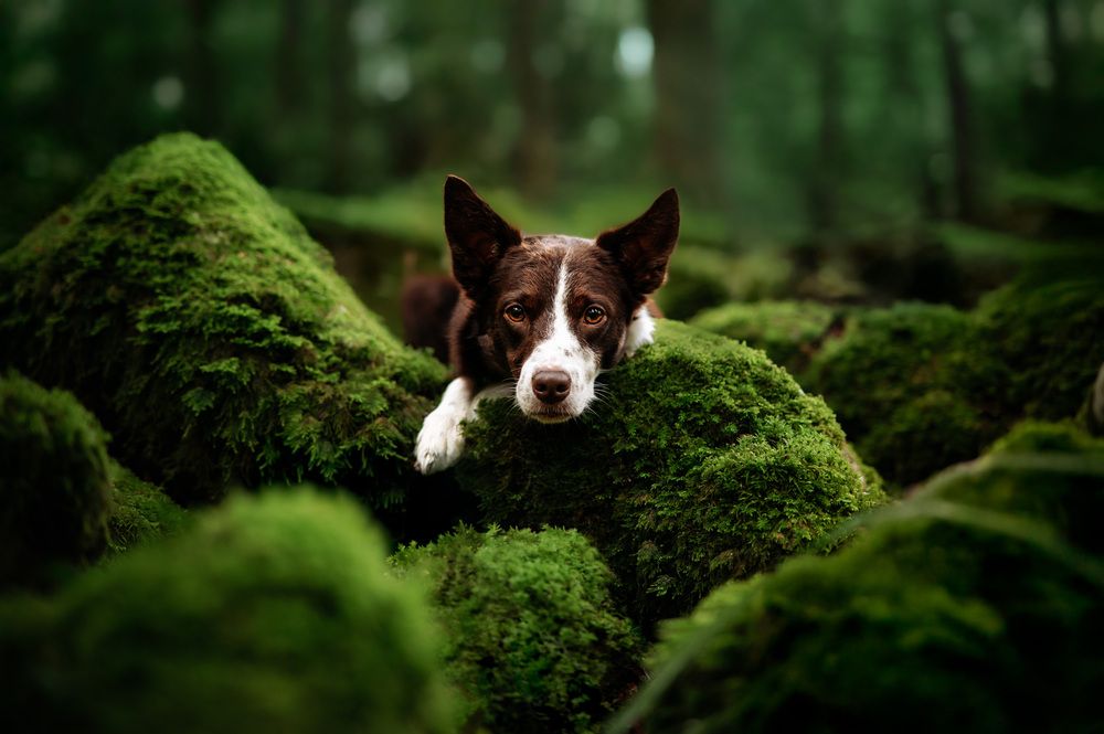 Photograph by Csenge Bálint