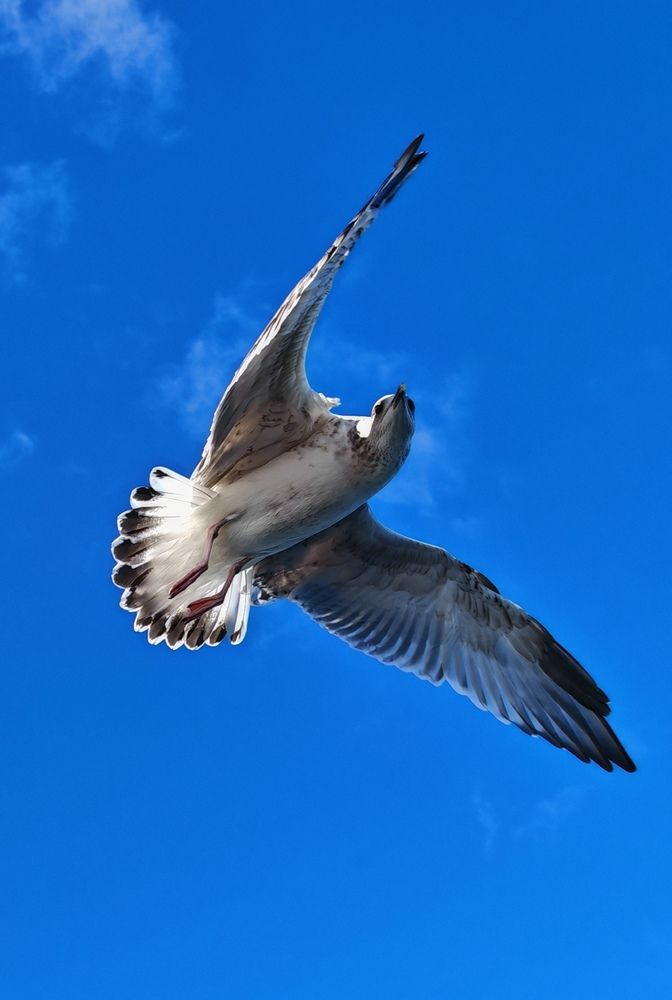 Photograph by Надежда