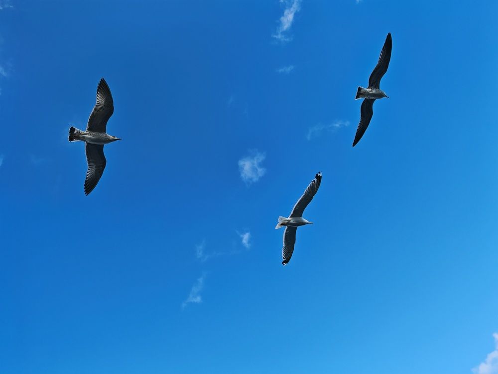 Photograph by Надежда