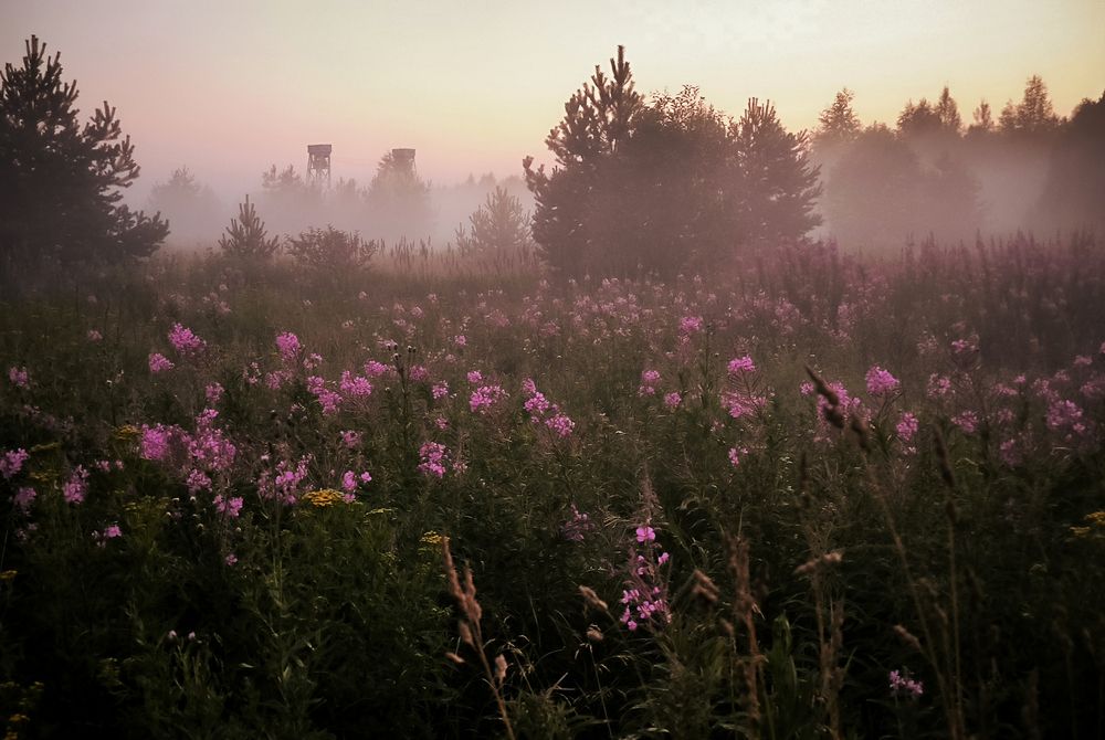 Photograph by Ольга Стоун
