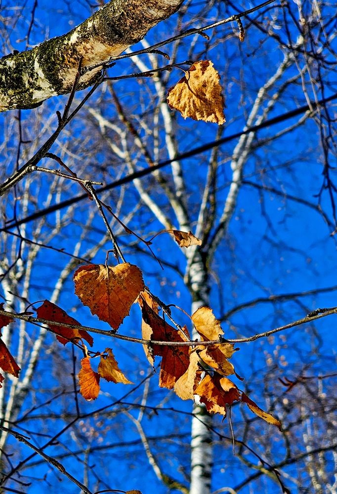 Photograph by Михаил Свиденцов