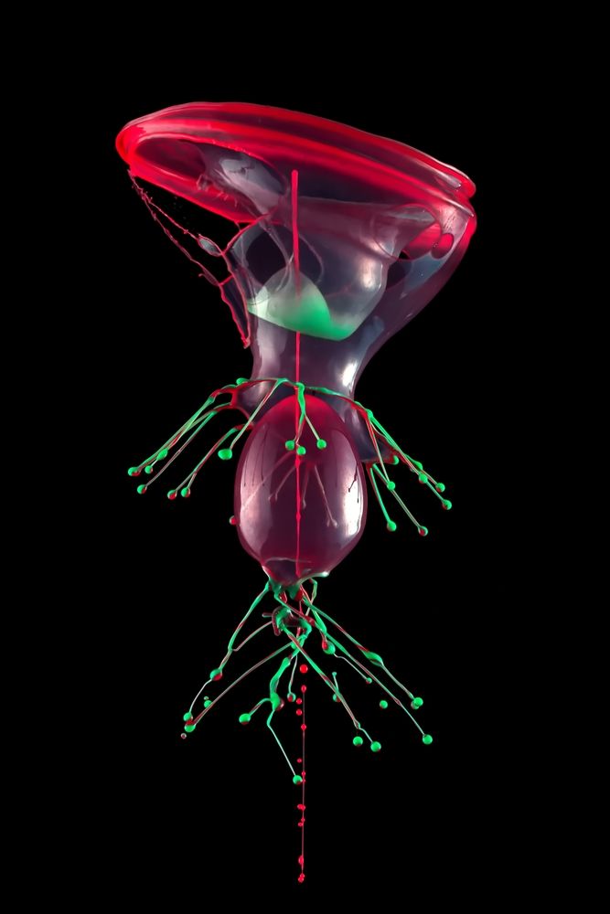 Photograph by Илан Грабоис