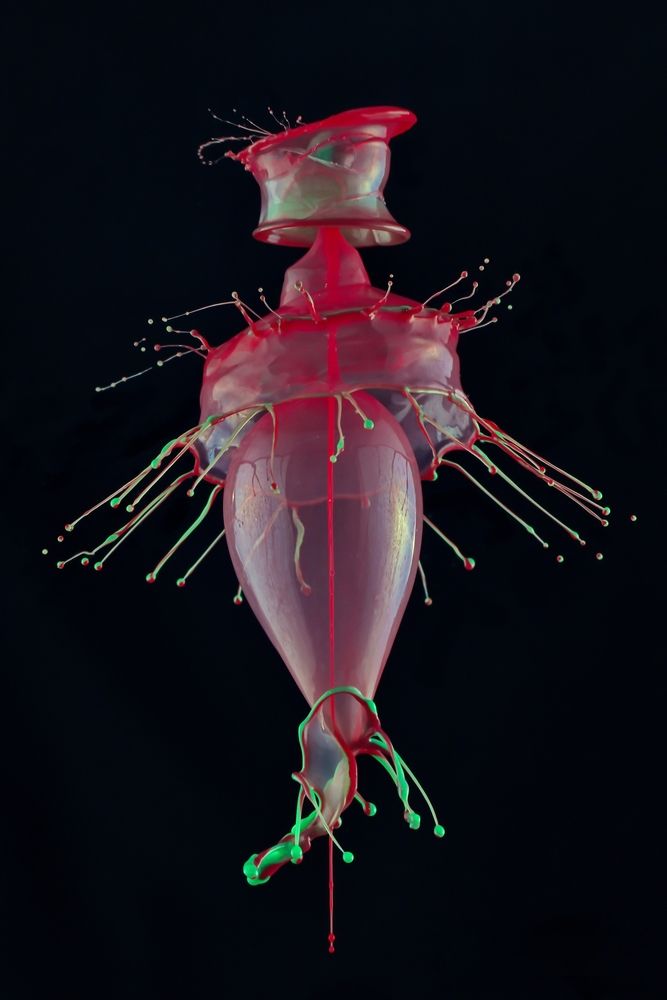 Photograph by Илан Грабоис