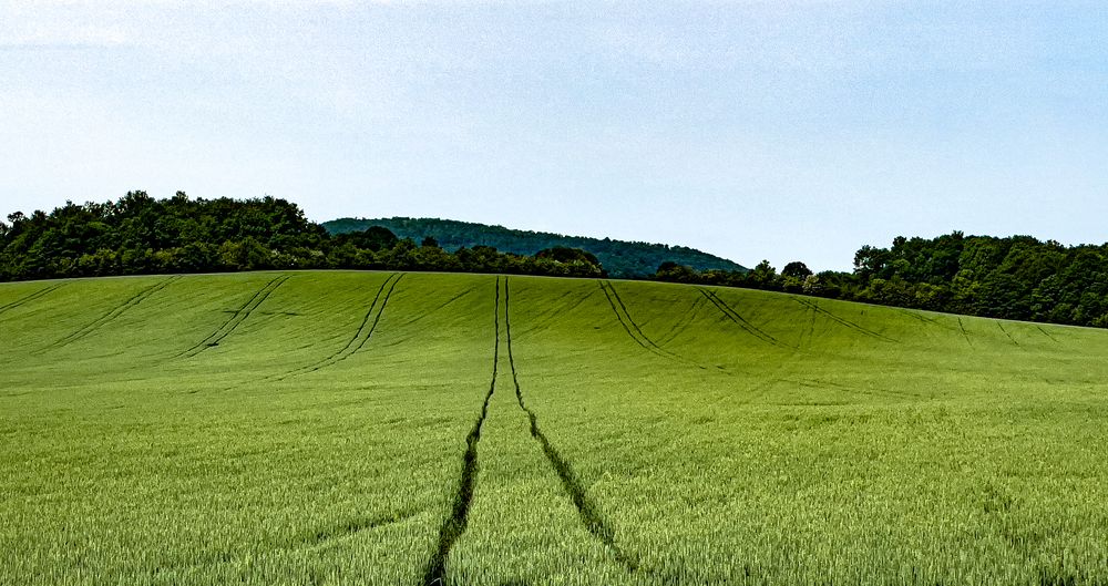 Photograph by Deyan Borisov