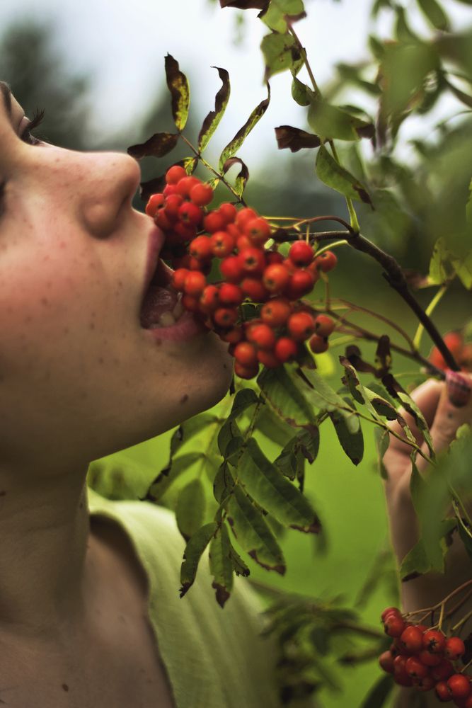 Фотография автора Elena Zeleranskaya