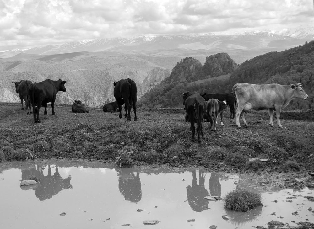 Фотография автора Шипунова Ирина