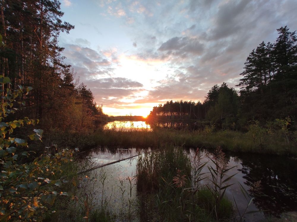 Photograph by Максим