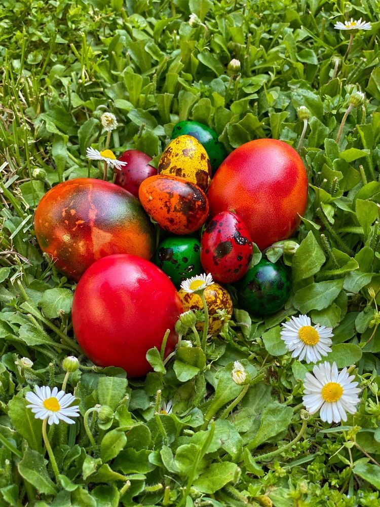 Photograph by Deyan Borisov