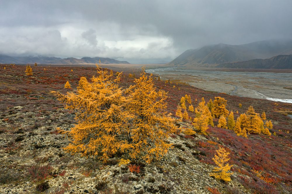Photograph by Сергей Карпухин
