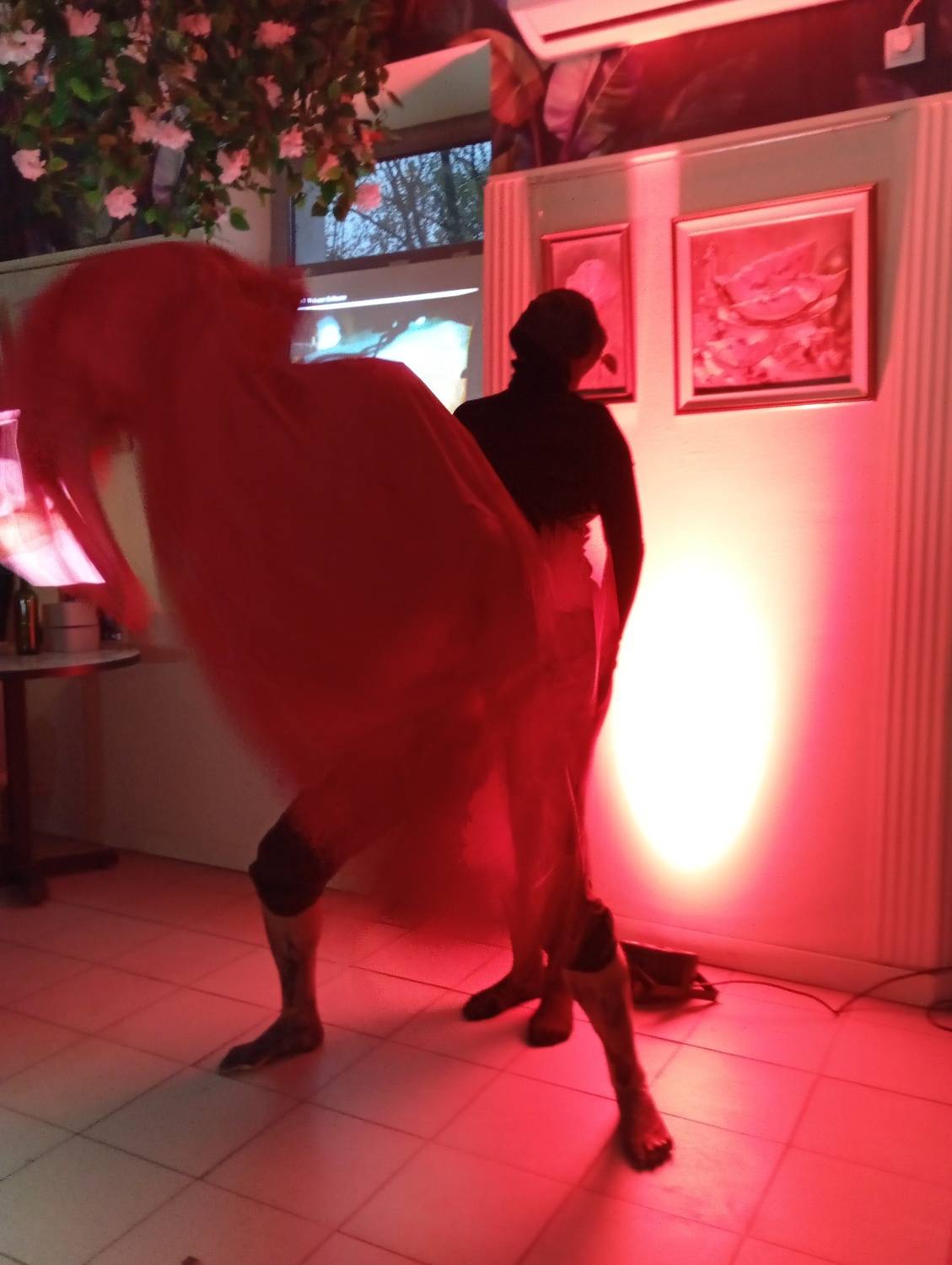 Photo #12764763