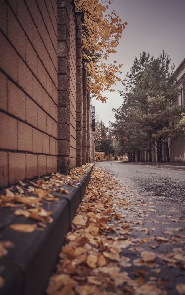 Photograph by Helena Proshkina