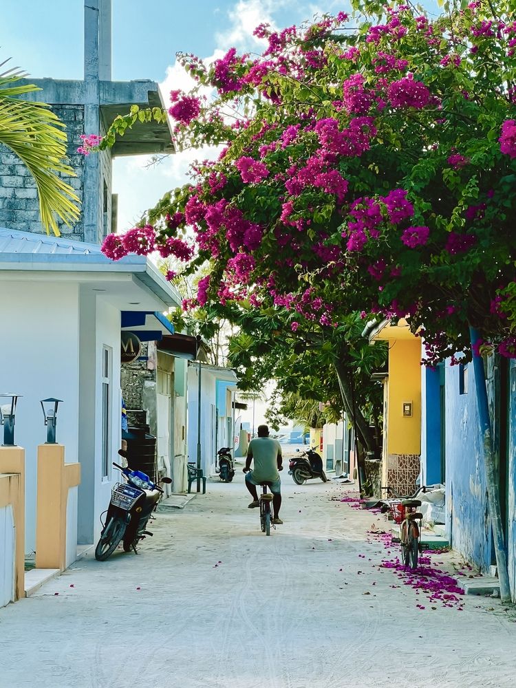 Photograph by Анастасия Дулова