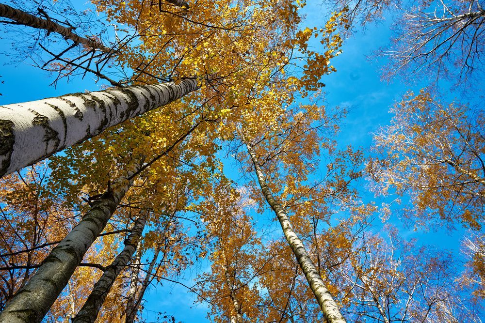 Photograph by Ярослав Сергеевич