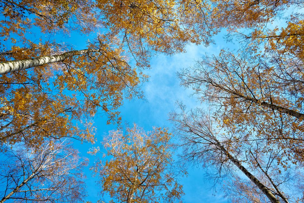 Photograph by Ярослав Сергеевич