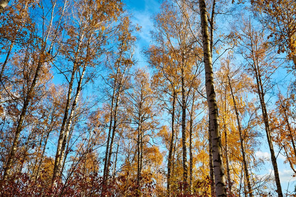 Photograph by Ярослав Сергеевич