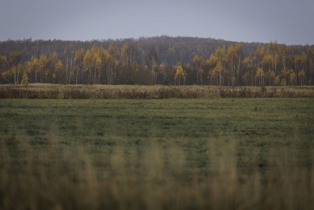 Photograph by Анастасия Петрова