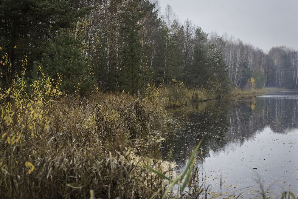 Photograph by Анастасия Петрова