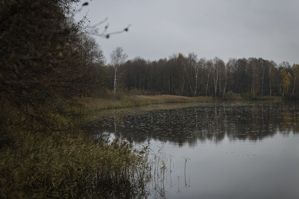 Photograph by Анастасия Петрова