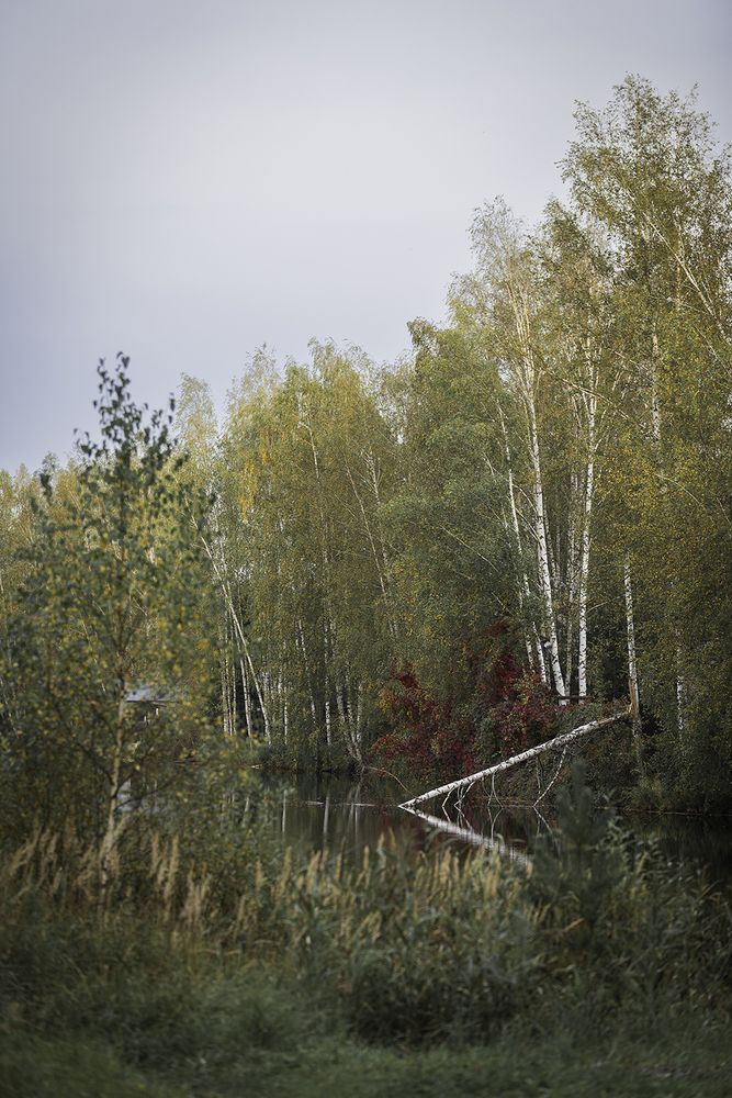 Photograph by Анастасия Петрова