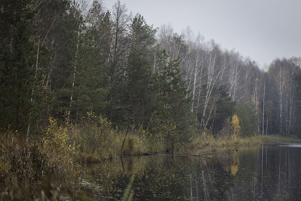 Photograph by Анастасия Петрова