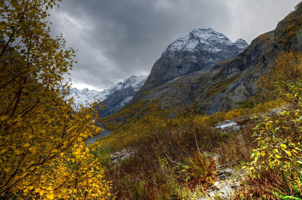 Photograph by Igor Maksimenko