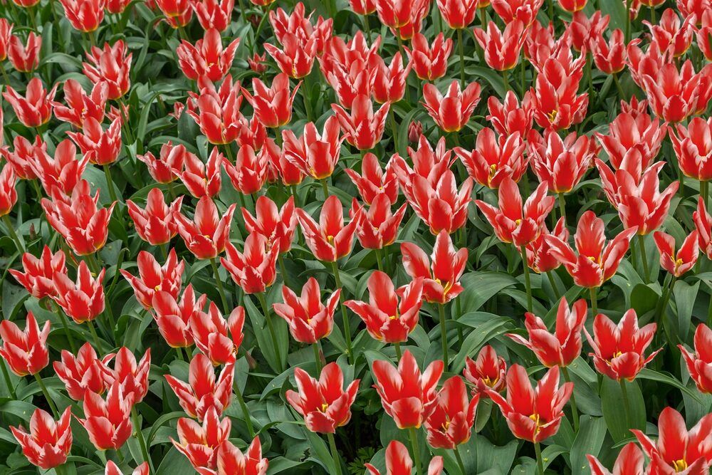 Photograph by Борис Новиков