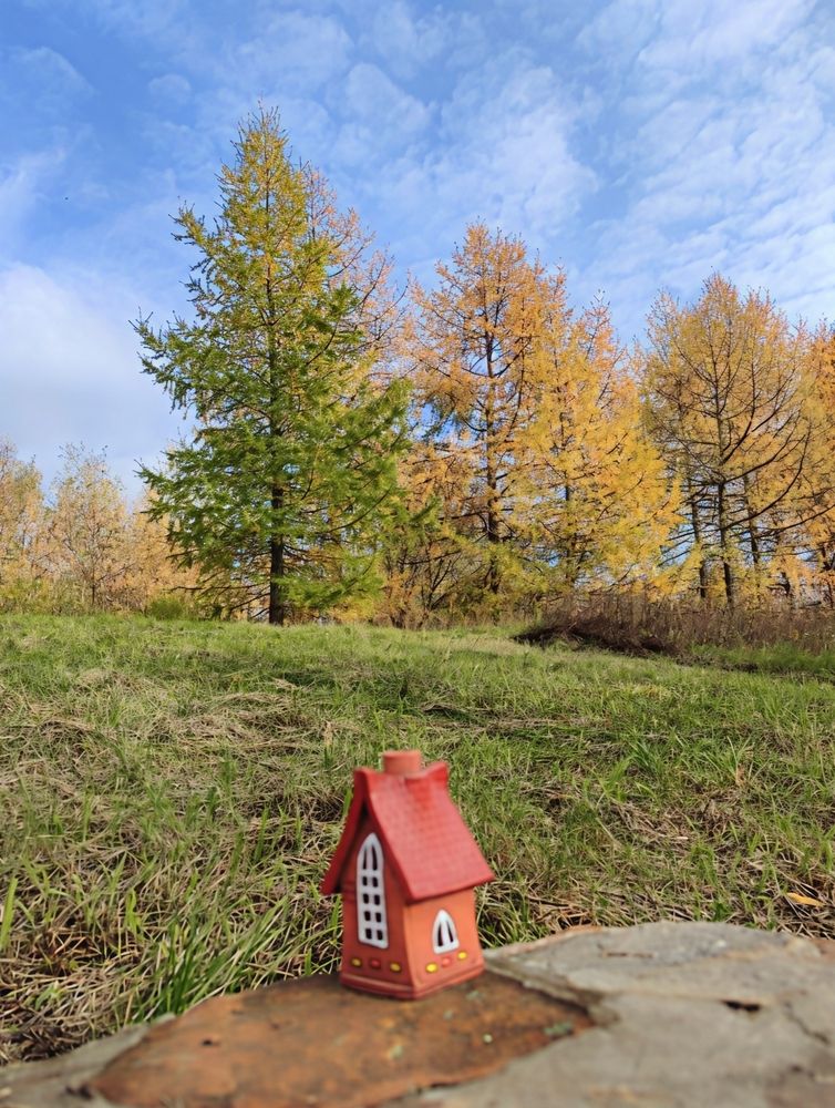 Photograph by Юлия Холомцева