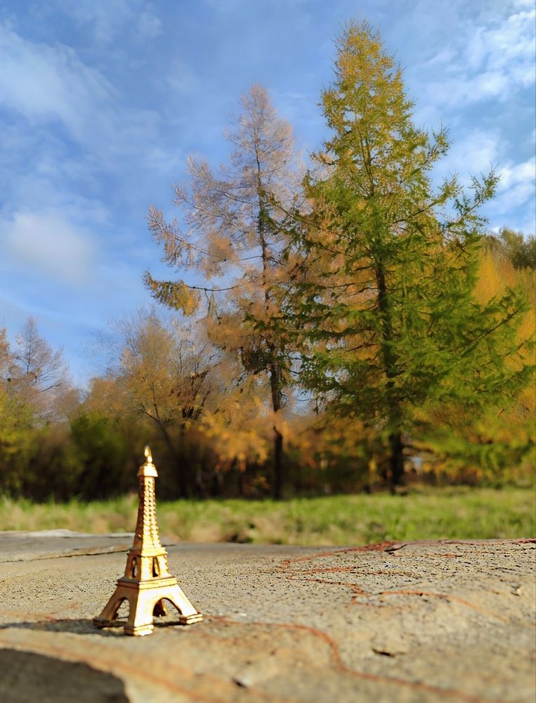 Photograph by Юлия Холомцева