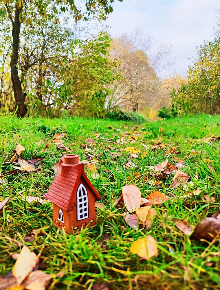 Photograph by Юлия Холомцева