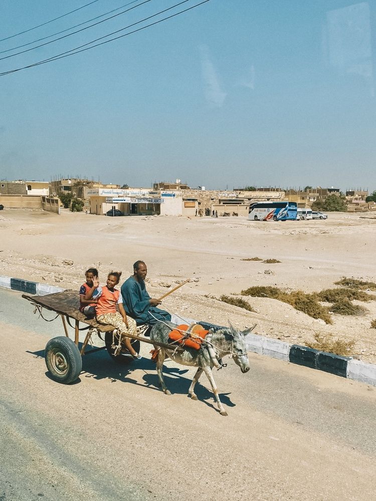 Photograph by Анастасия Дулова