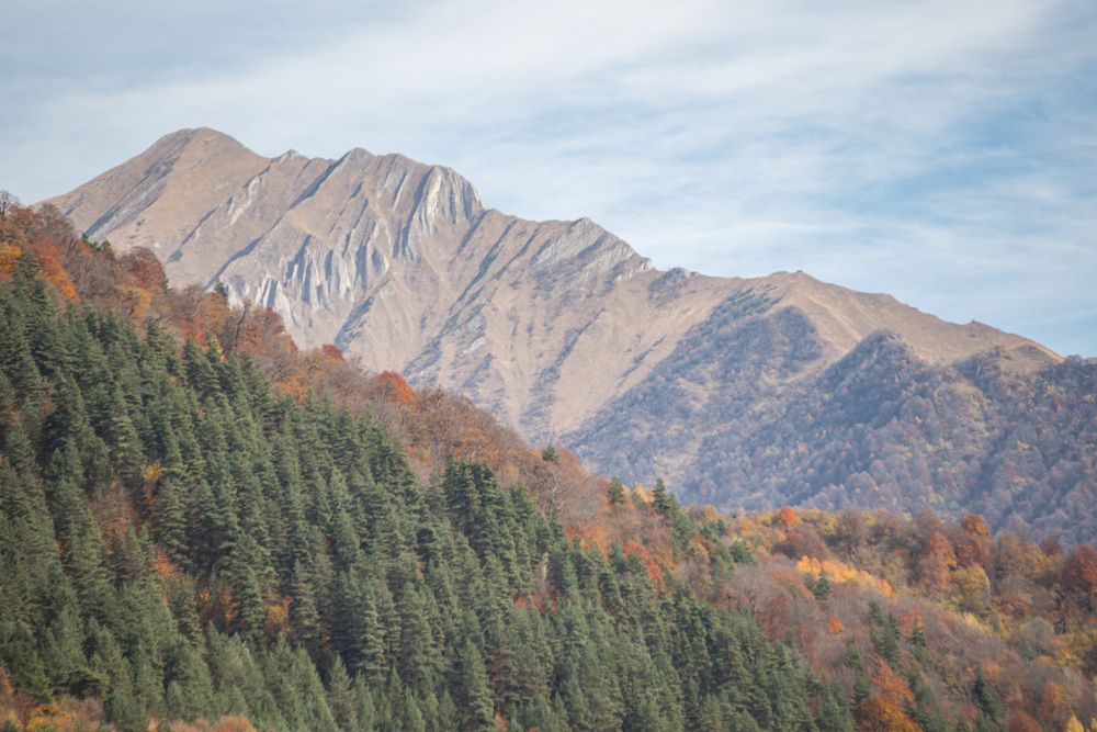 Photograph by Александр Парфенов