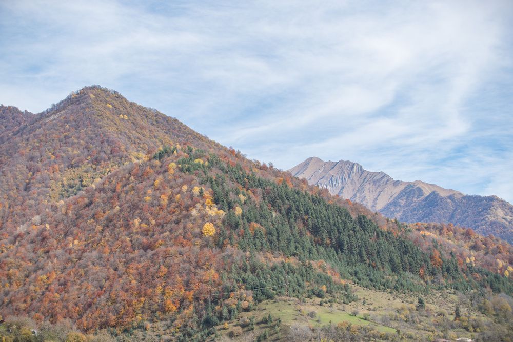 Photograph by Александр Парфенов