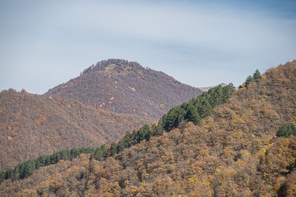 Photograph by Александр Парфенов