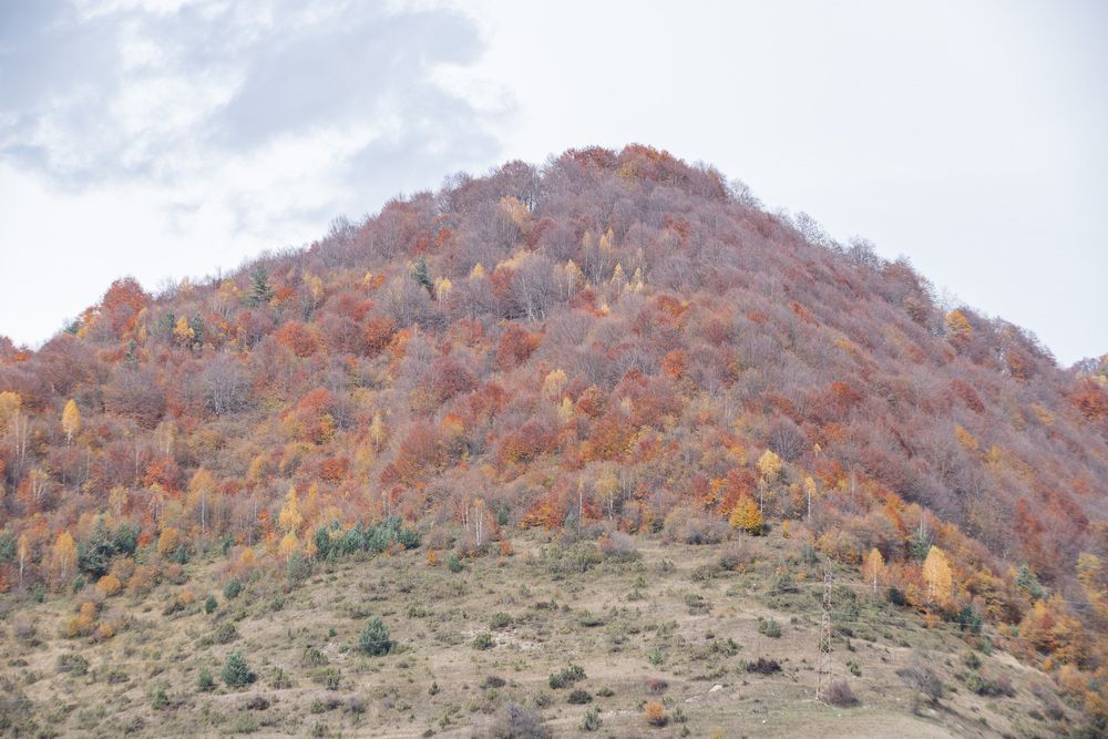 Photograph by Александр Парфенов