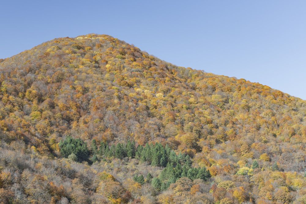 Photograph by Александр Парфенов