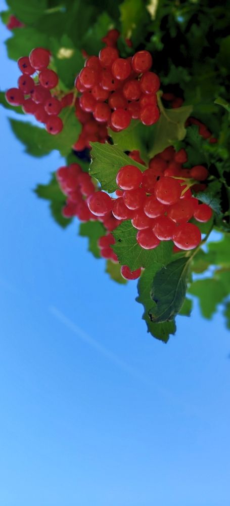 Photograph by Татьяна Нестерова