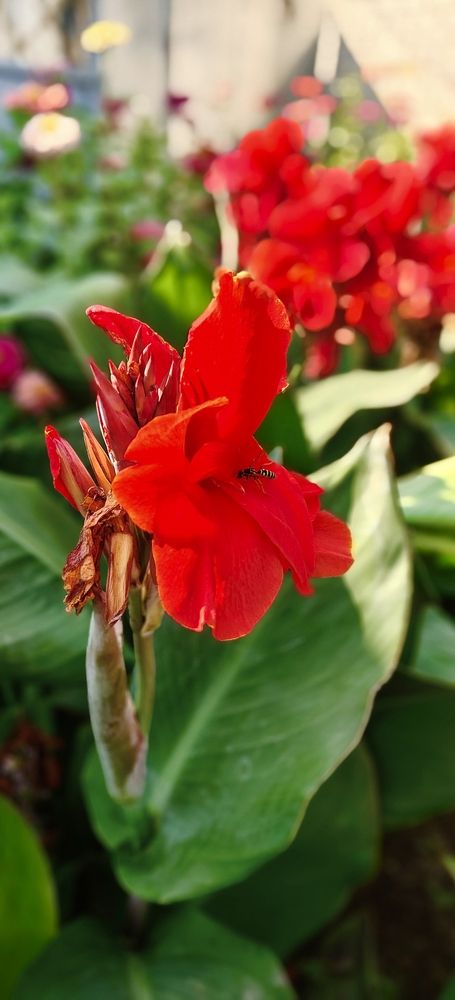 Photograph by Татьяна Нестерова