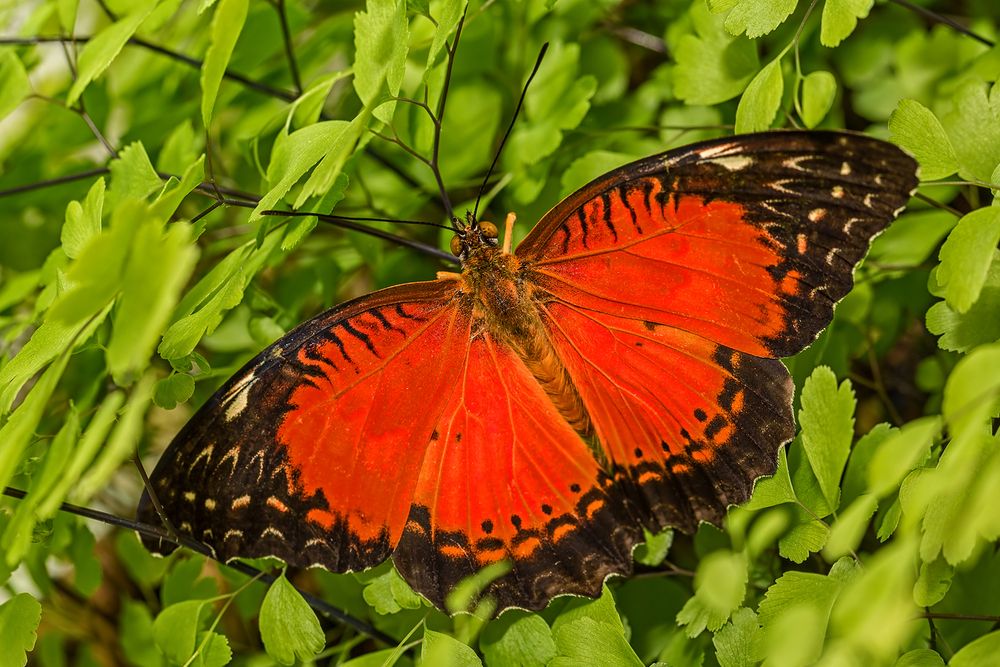 Photograph by Борис Новиков