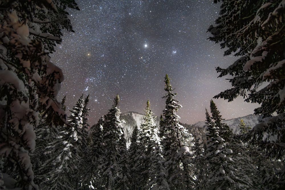 Photograph by Портных Дмитрий