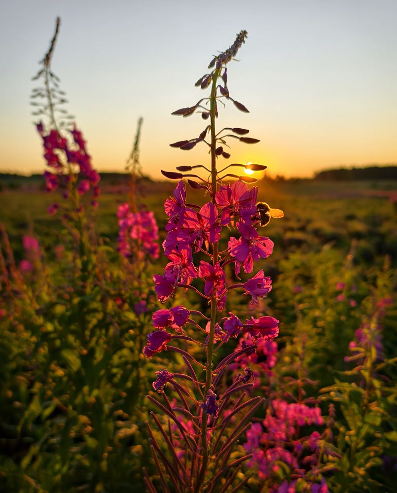 Фотография автора Кухта Мария