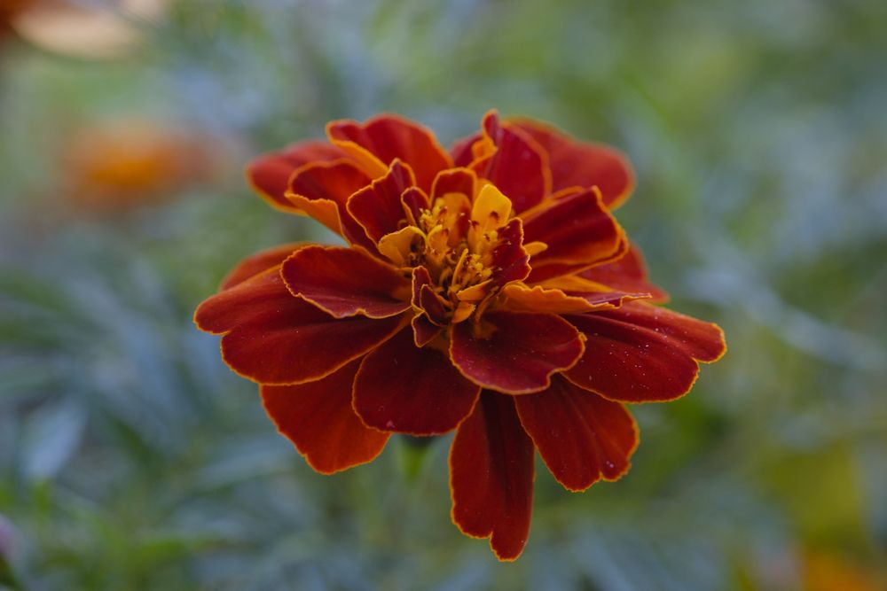 Photograph by Marian Lázaro